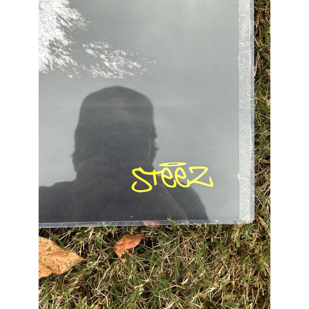 Original 2005 steez poster monkey wearing headphones